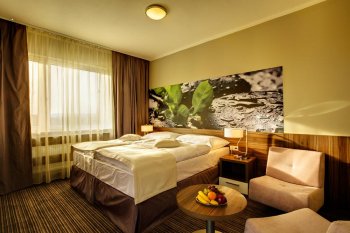 Spa Dudince Spa Hotel Minerl